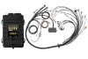 HAL Elite 2500 ECU & Kits