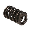MAN Valve Spring Kits