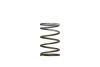 TS Wastegate Springs