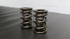 FER Valve Springs - Single