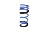 ISC Lift Springs
