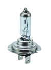 HELLA Halogen Bulb