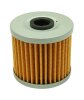 AEM Fuel Filters