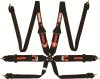 RQP 6pt Camlock Harnesses
