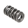 MAN Valve Spring Kits