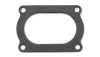 VIB Gaskets - Exhaust