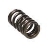 MAN Valve Spring Kits