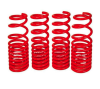 BX Lowering Springs